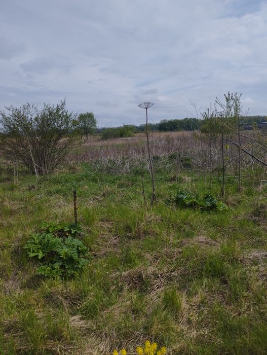Перспективна ділянка в Вінниці, 10сот