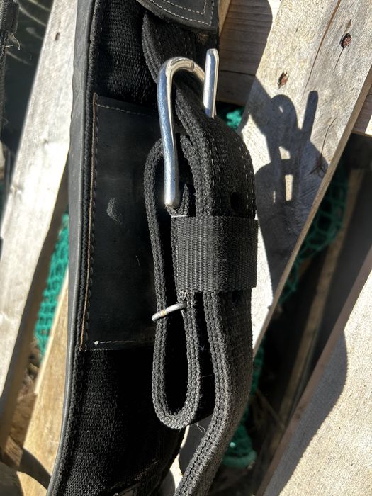 charete de 1 eixo para burro grande ou Mula / cavalo ate 155cm + Arreios sintheticos de Sieltec