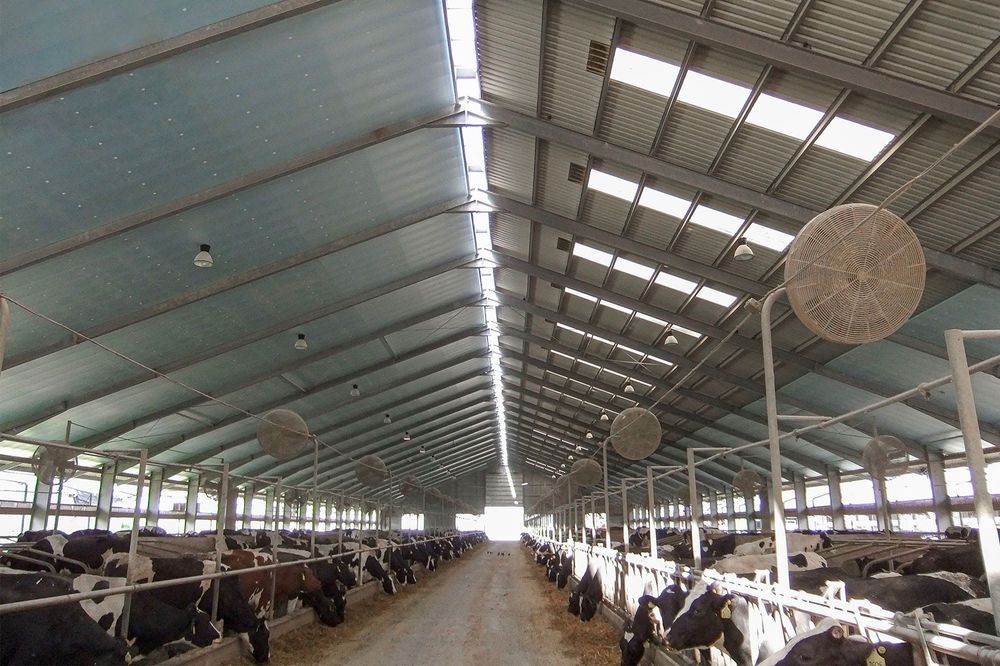 Izolacja Dachu Strop Sufit Podsufitka STYRODUR XPS AGRO Ocieplenie
