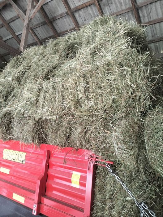 Sprzedam siano w kostkach