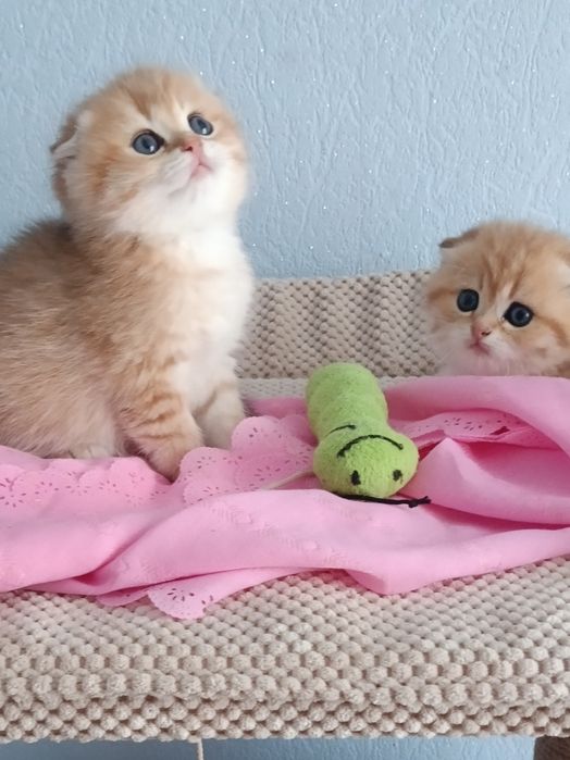 Чекаємо тебе мамулічка