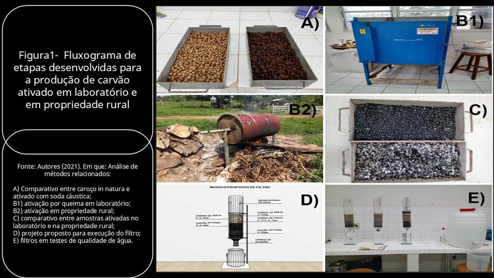 Carvão de Caroço de Açai