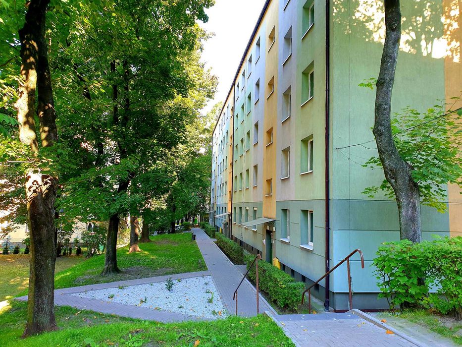 Zdjęcie 8