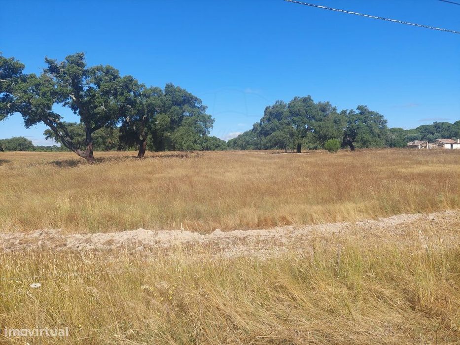 Terreno  para venda