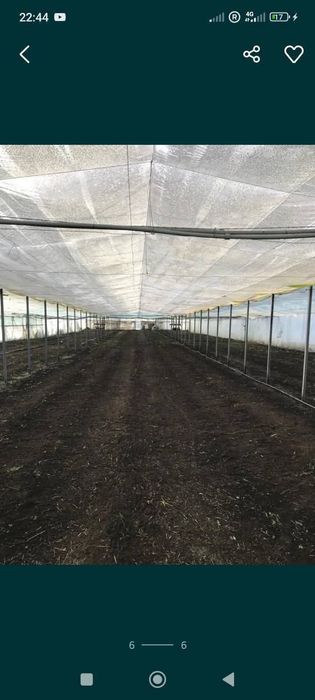 Продається будинок та тепличне господарство місто Жашків 140км від Киє