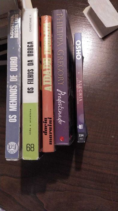 Livros (Margarida Rebelo Pinto, Nicolas Sparks, Isabel Allende, ..)