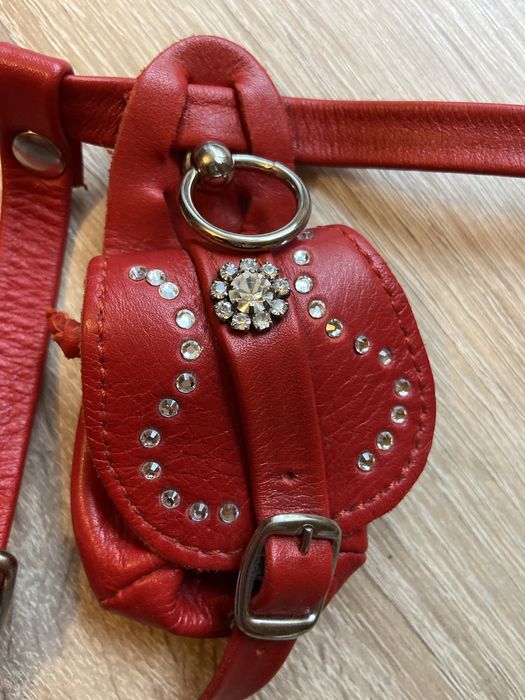 Шлея для маленькоі собачки з сумочкою для корму