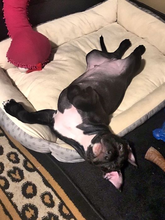 Терміново малята АСТ