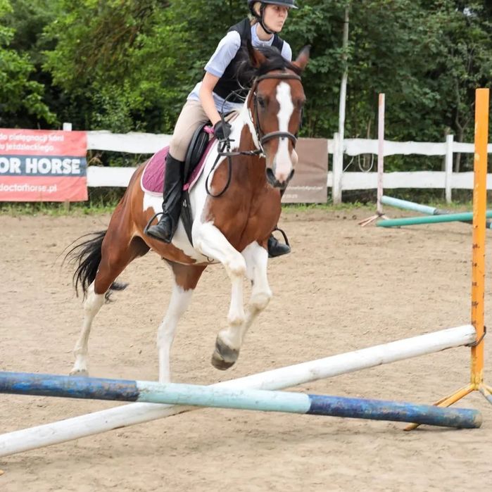 Sprzedam klacz sport/rekreacja/Hipoterapia