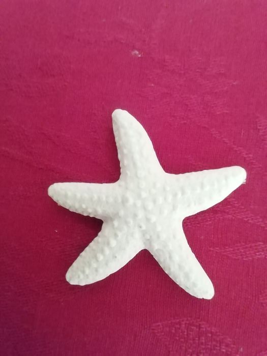 Íman Estrela do mar, novo