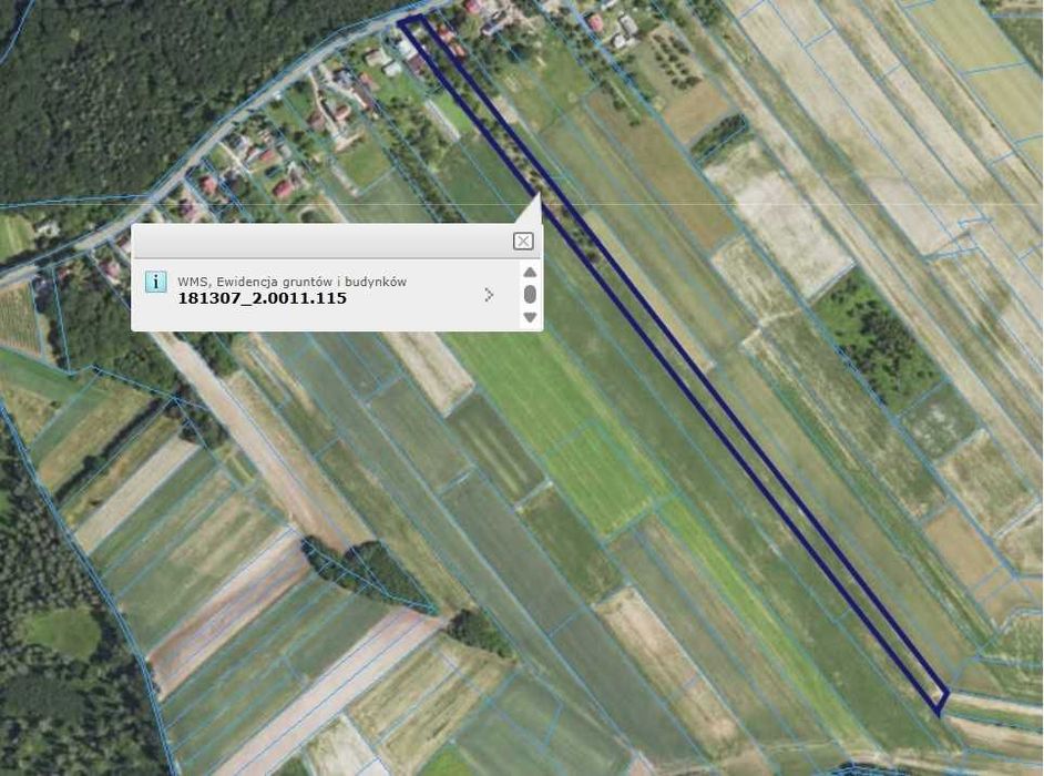 Sprzedam nieruchomość o pow. 1,76 ha z domem w Wacławicach