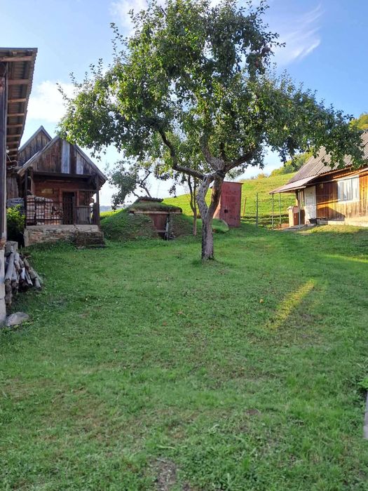 Будинок. Село Верб'яж (Нова Розтока)