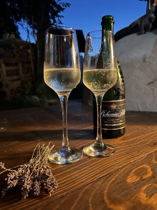 Приватна садиба «Forest House» Закарпаття (чан,сауна,відпочинок)