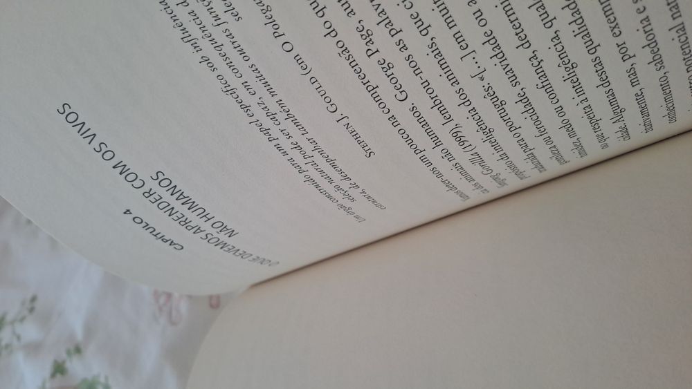 Inteligência Vital, Estupidez Artificial de Alexandre Castro Caldas