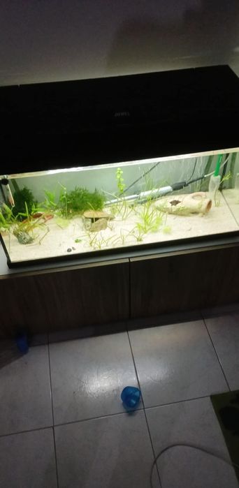 Aquário 80 40 50 com luz