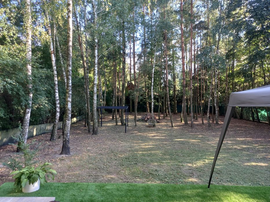 noclegi leśny domek