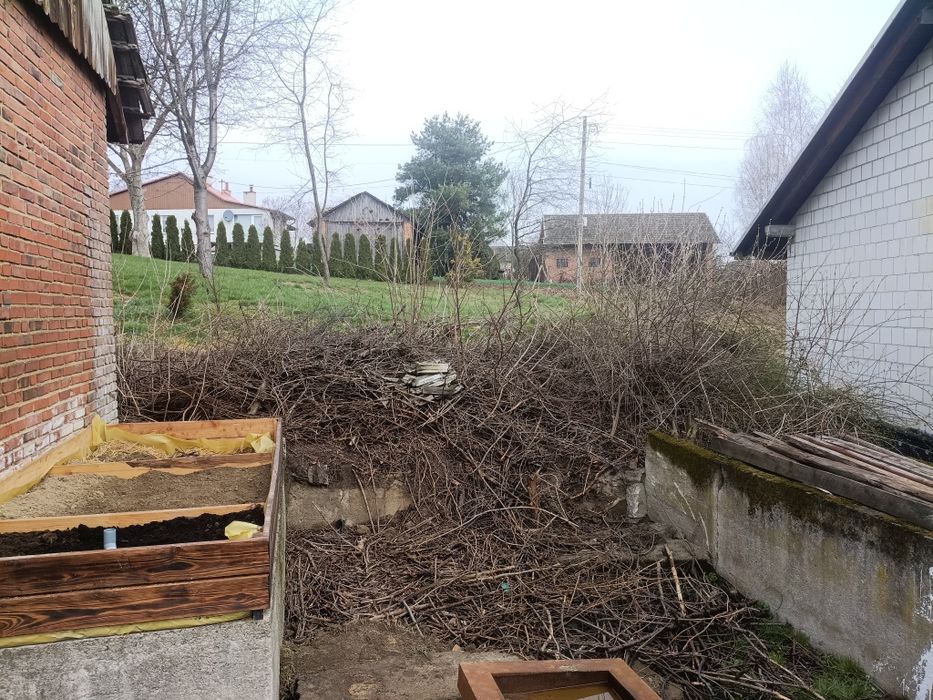 Zlecę czyszczenie gałęzi