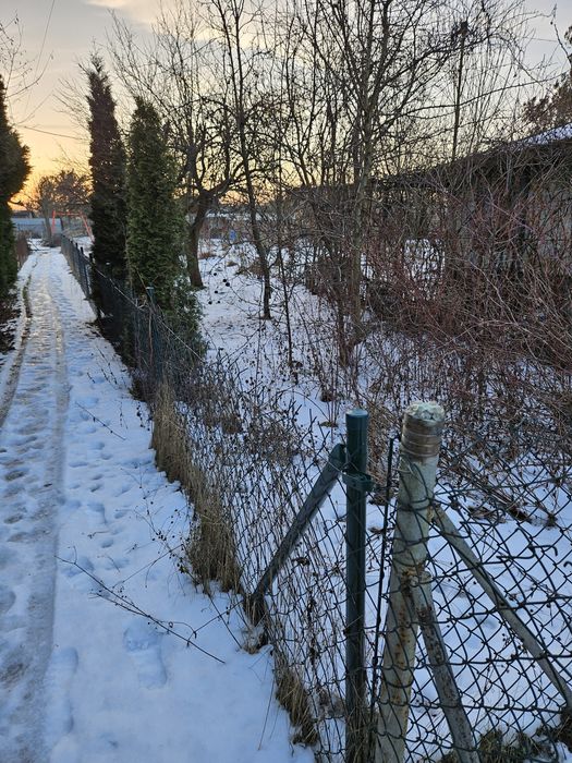 Działka ROD, im. Adama Mickiewicza, Warzywna 5, Pabianice 400 m² - Więcej