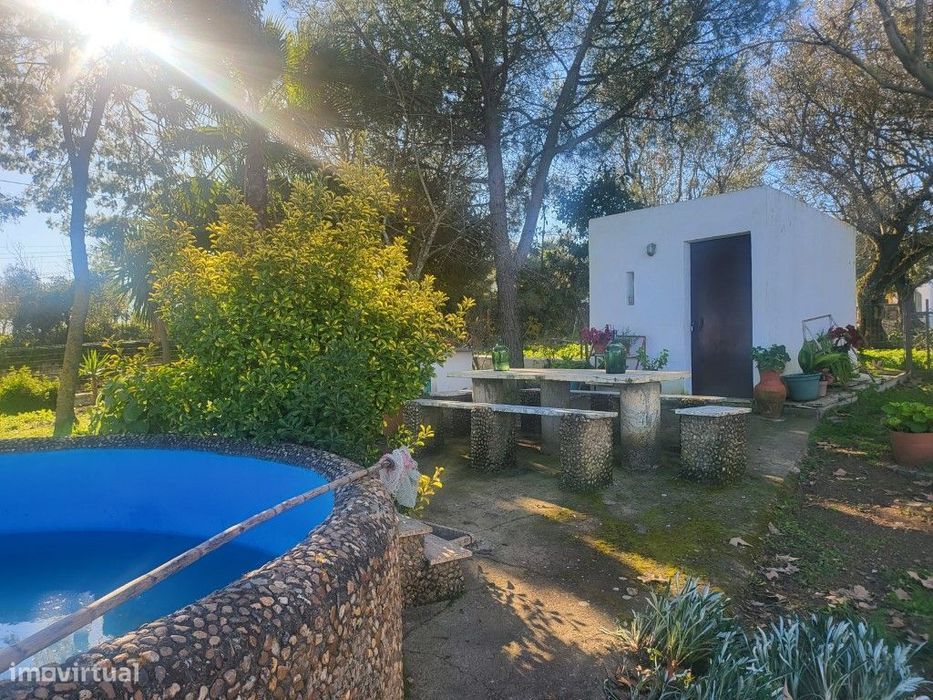 Quinta com 23.750 m2 em Vila Viçosa