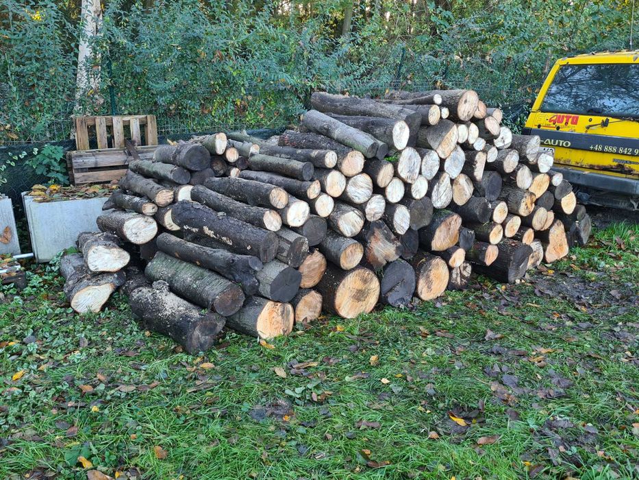 Drewno na opał - brzoza, olcha, lipa, czeremcha, czereśnia