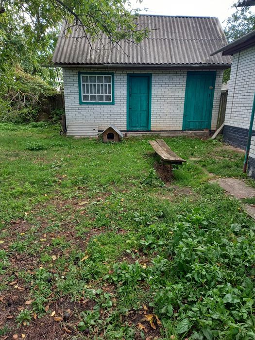 Продається дім у селі Світличне