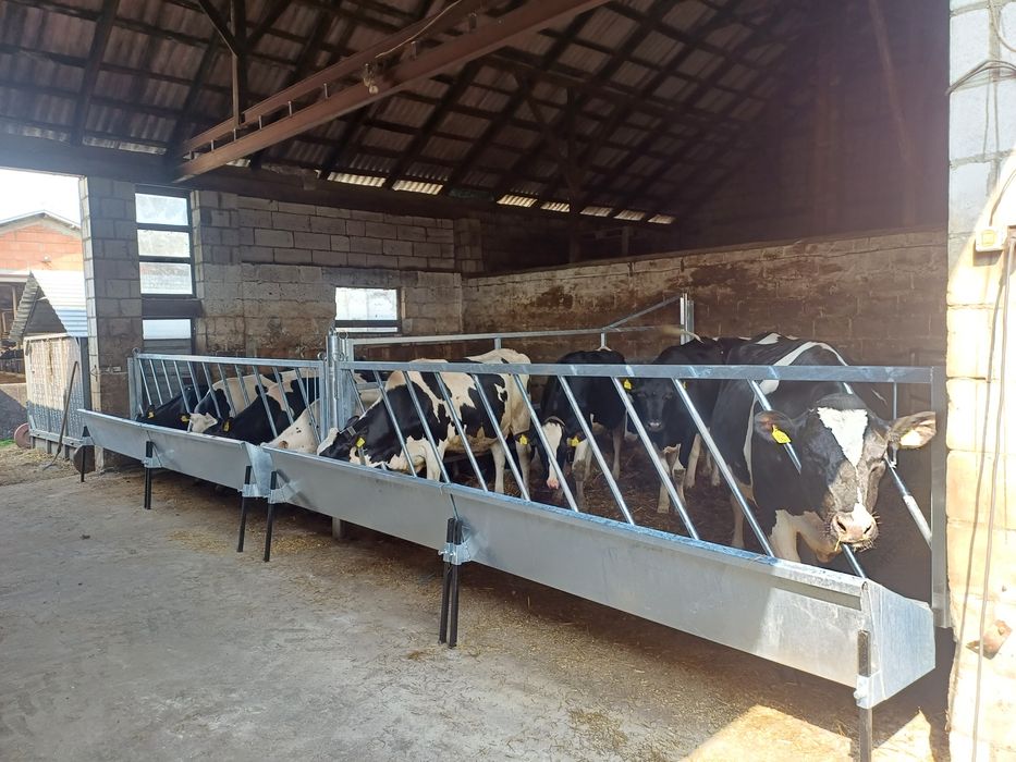 Wygrodzenia przegrody dla bydła