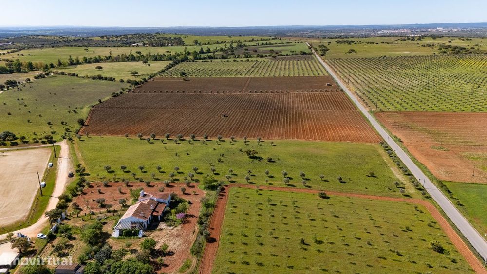 Terreno no concelho de Reguengos de Monsaraz com Projeto de arquitetur