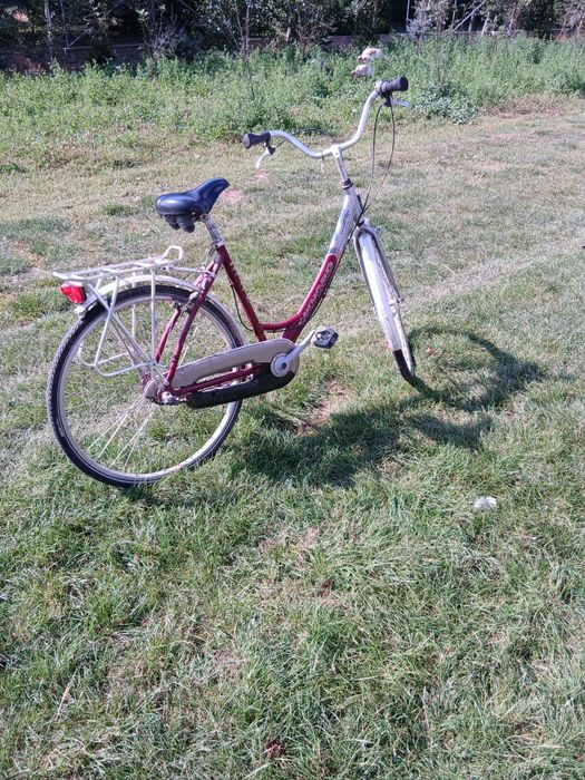 Rowerek holenderski
