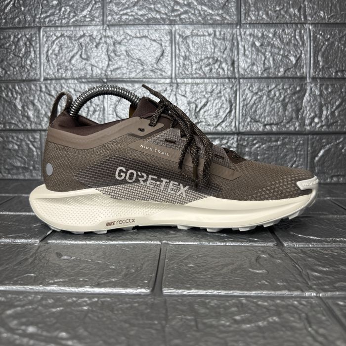 Жіночі кросівки Nike Pegasus Trail 5 Gore-Tex Mink Brown HQ7494-200
