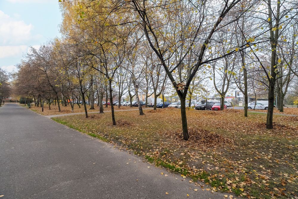 Pokój jednoosobowy blisko UAM/Single room near the UAM