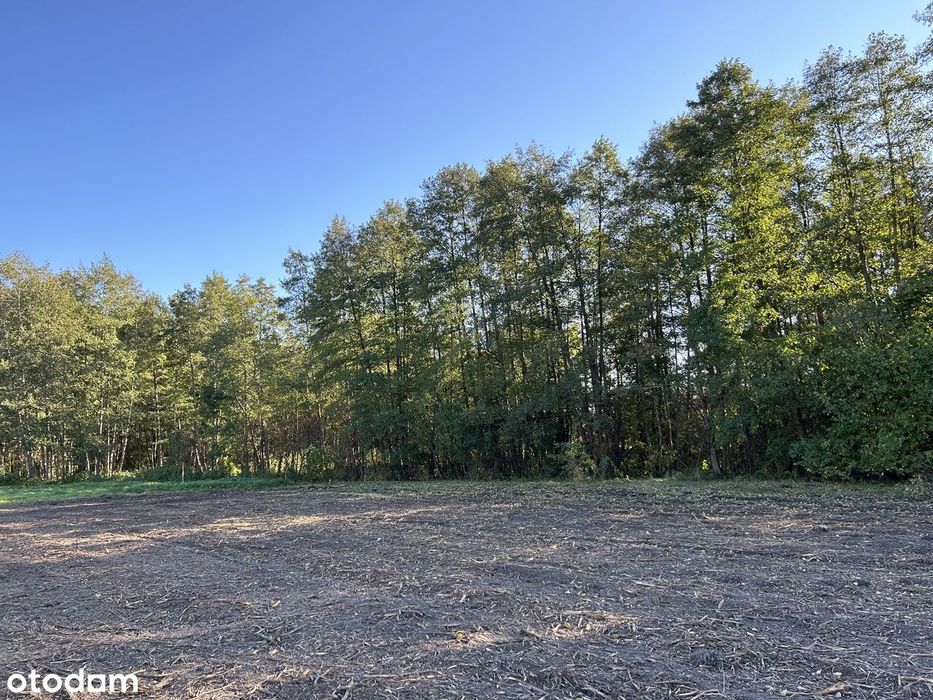 Inwestycja deweloperska | Pozwolenie na 3 domy | 4700 m² | Nasielsk