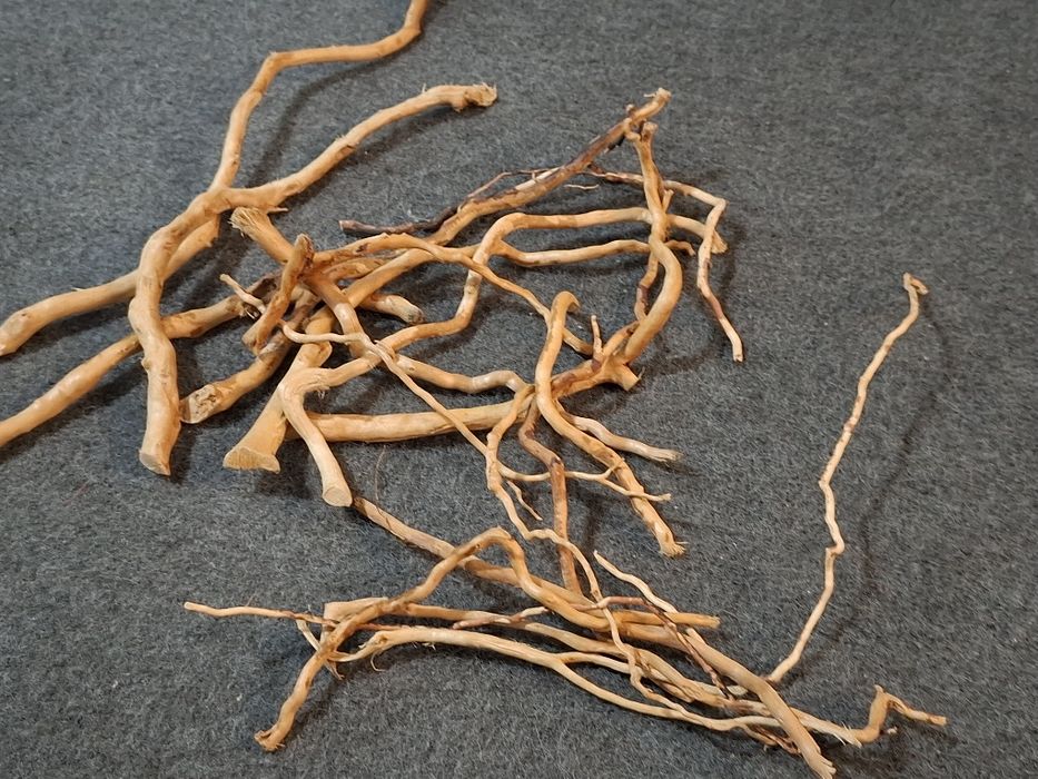 Tronco para aquário plantado - Novo 9 €