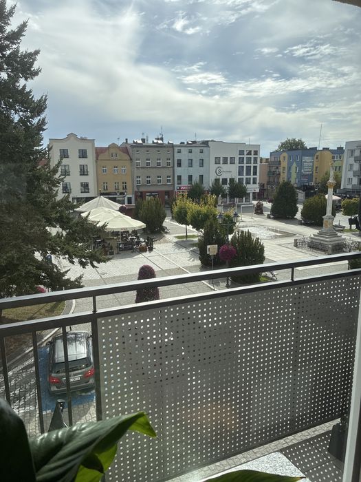 Zdjęcie 2