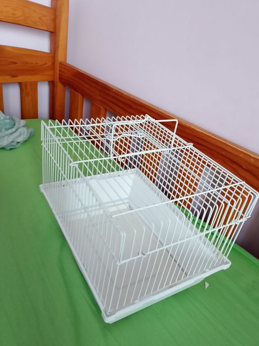 Transporter dla gryzoni