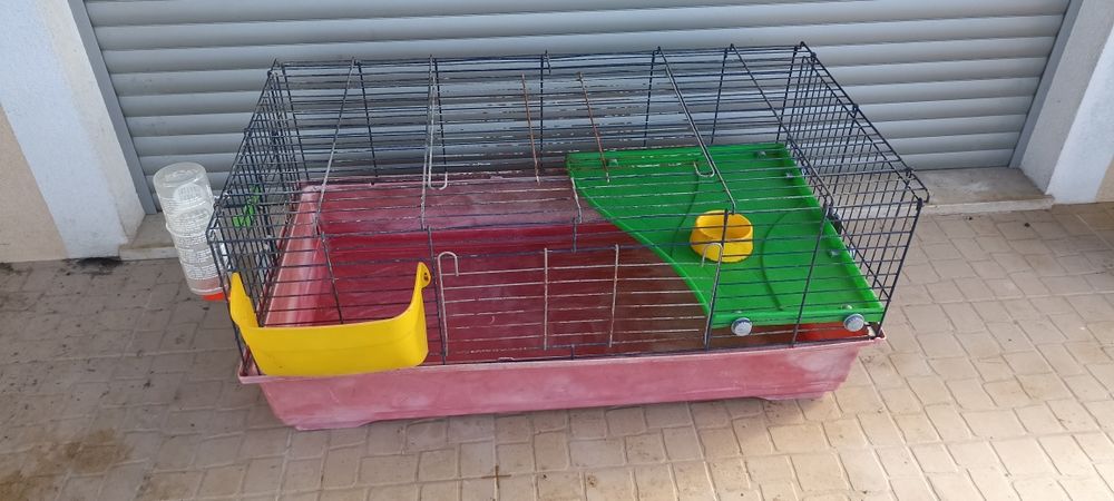 Gaiola jaula coelho anão porquinho da Índia roedores