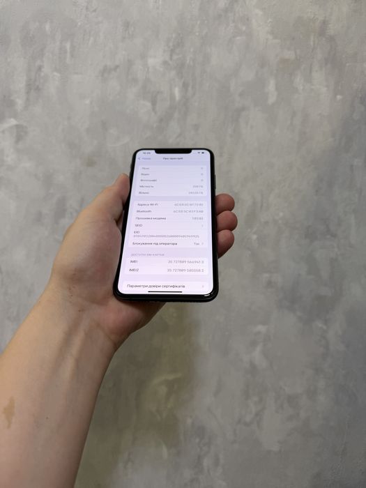 iPhone XS Max 256 GB RSIM