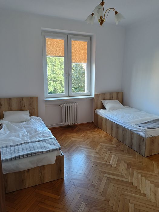 Zdjęcie 5