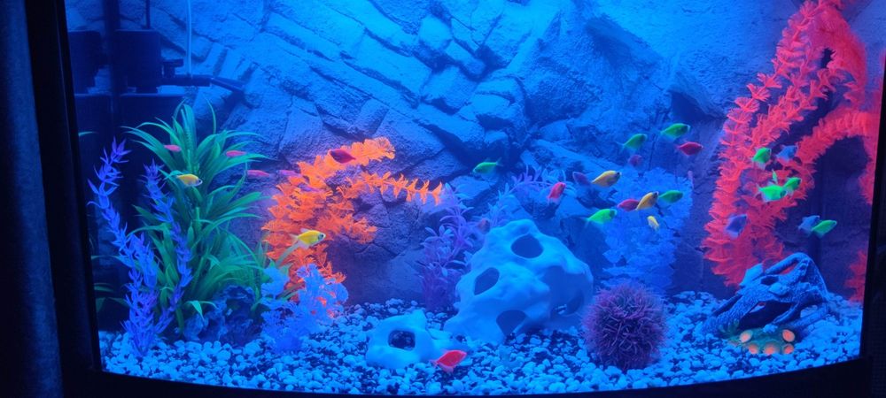 Акваріум панорамний 120 літрів з тумбою  зі всім