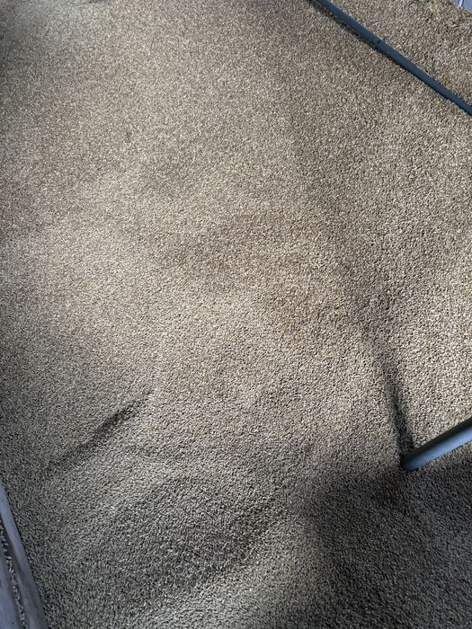 Jęczmień ziarno 100 kg