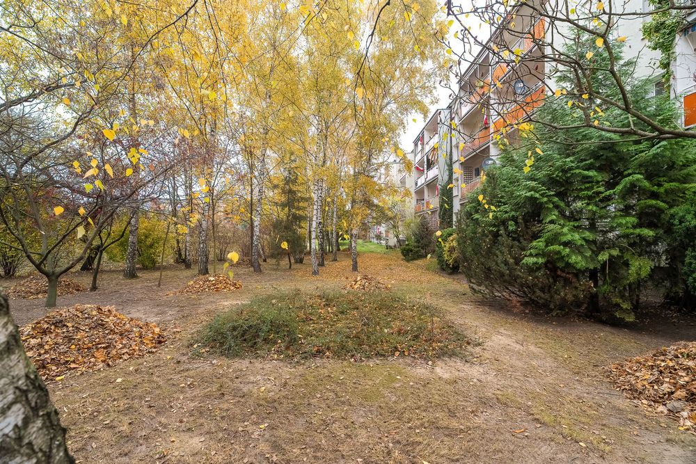 Pokój jednoosobowy blisko UAM/Single room near the UAM