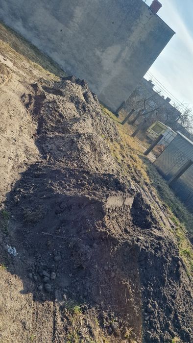 Oddam ziemię za darmo