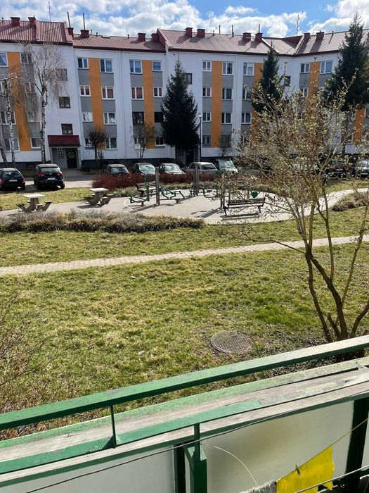 Zdjęcie 7