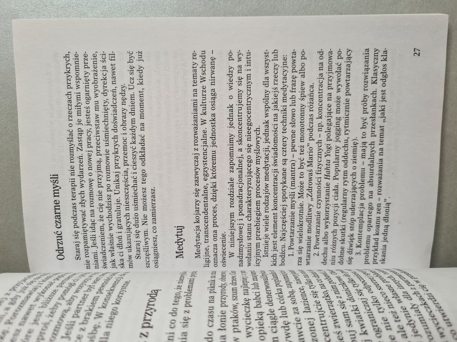 Zazdrość niewierność zaborczość - Książka