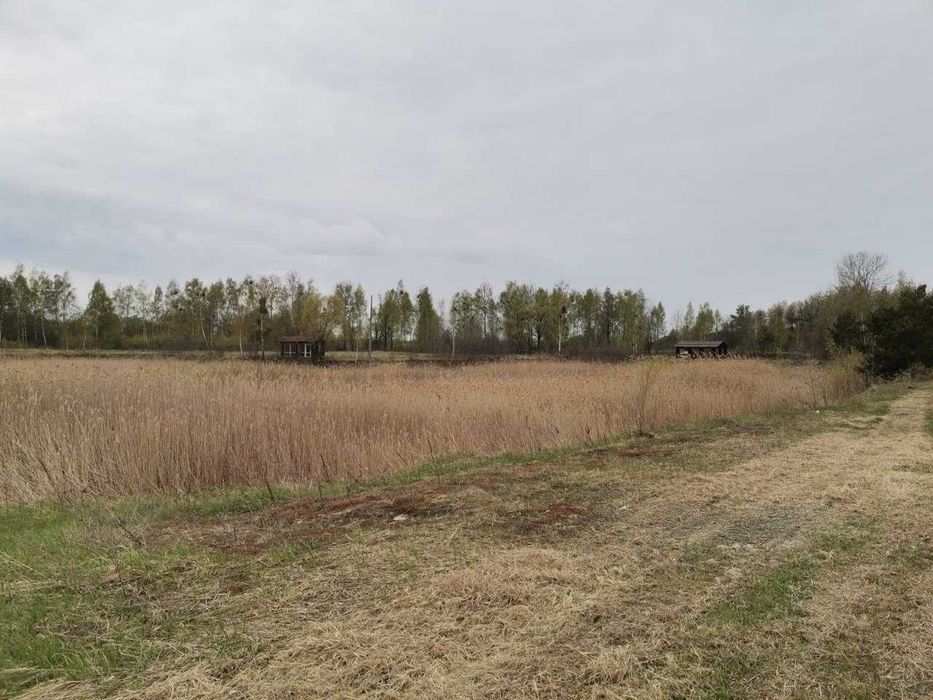 Продаж земельна ділянка під забудову смт Немішаєве