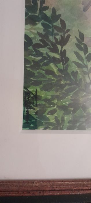 Beautiful Medium-Sized Frame426077949653176323