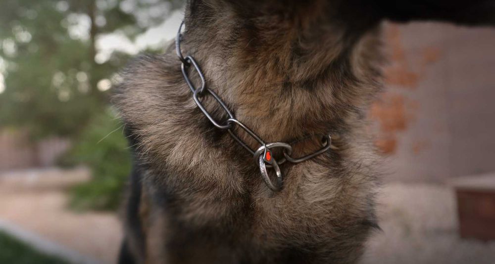 HS Sprenger Coleira Estranguladora Aço Negro Elos Longos - NOVA