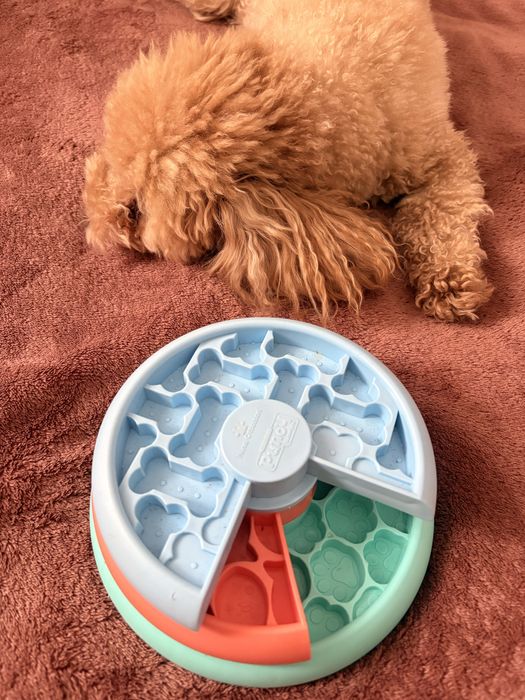 Zabawka interaktywna na smaczki Nina Ottoson