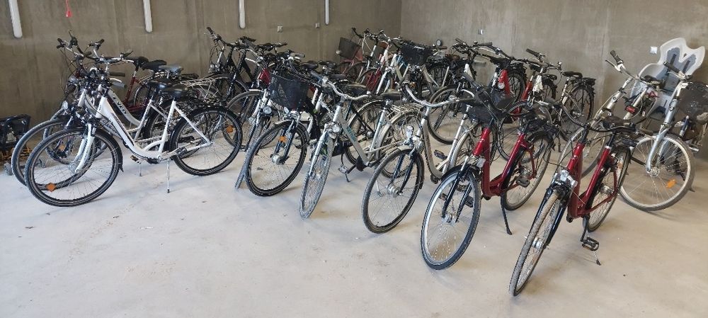Sprzedam  turystyczne Damki Miejskie