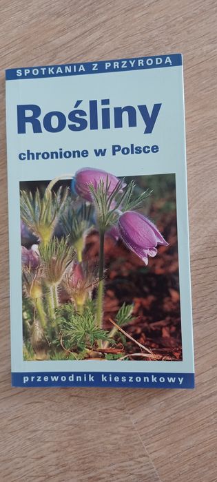 Rośliny chronione w Polsce