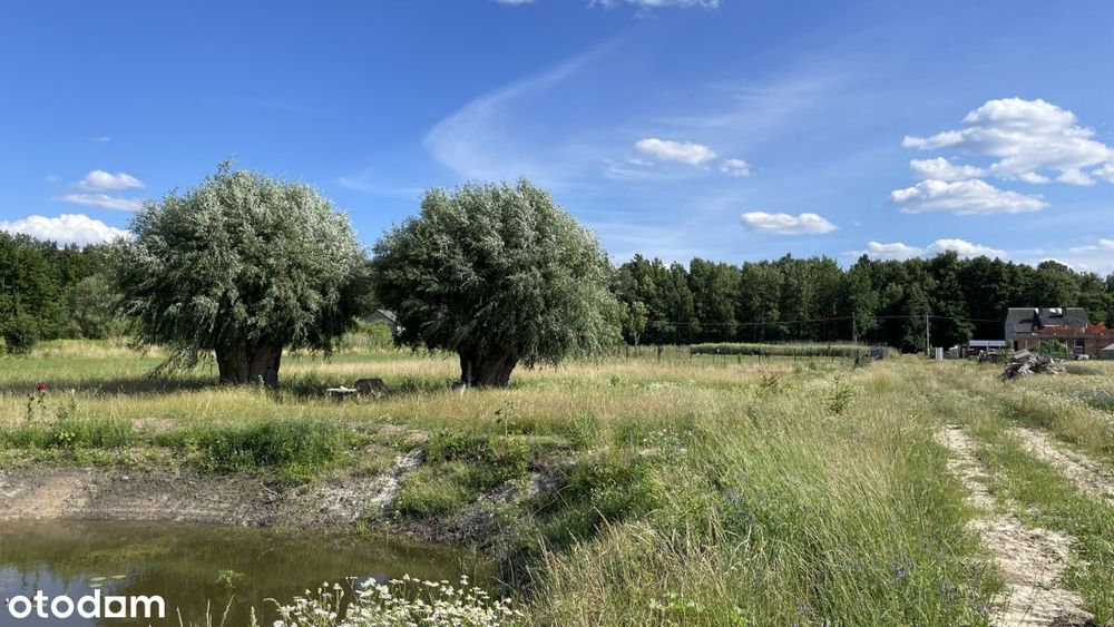 Działka budowlana 1000, 1680 m² - Widok 6